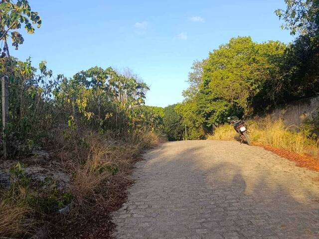 #T-523 - Terreno para Venda em Tibau do Sul - RN