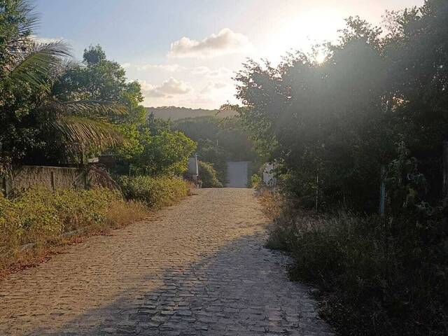 Terreno para Venda em Tibau do Sul - 5
