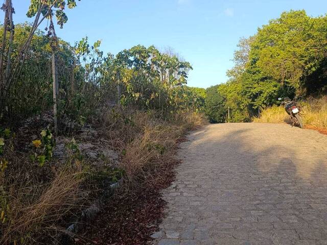 #T-523 - Terreno para Venda em Tibau do Sul - RN