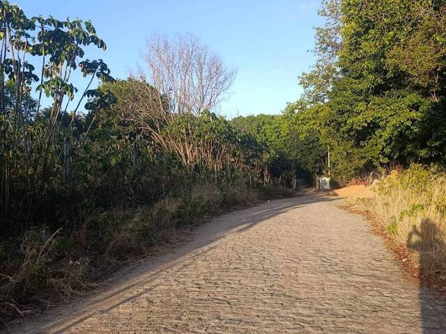 Terreno para Venda em Tibau do Sul - 4