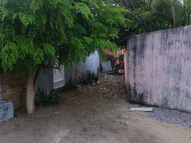 Venda em Praia da Pipa - Tibau do Sul