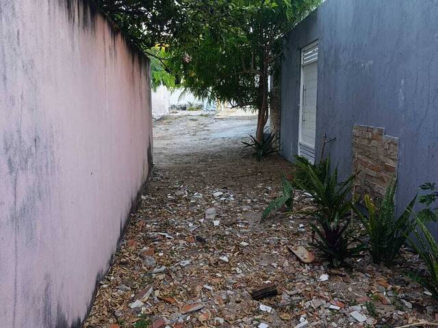 #T-524 - Terreno para Venda em Tibau do Sul - RN