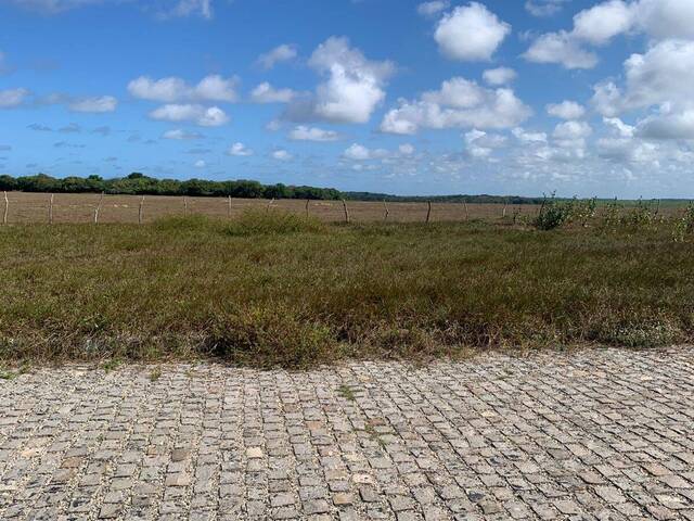 #T-527 - Terreno para Venda em Tibau do Sul - RN