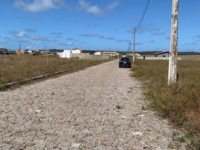 Terreno para Venda em Tibau do Sul - 4