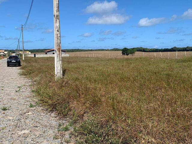 Terreno para Venda em Tibau do Sul - 5