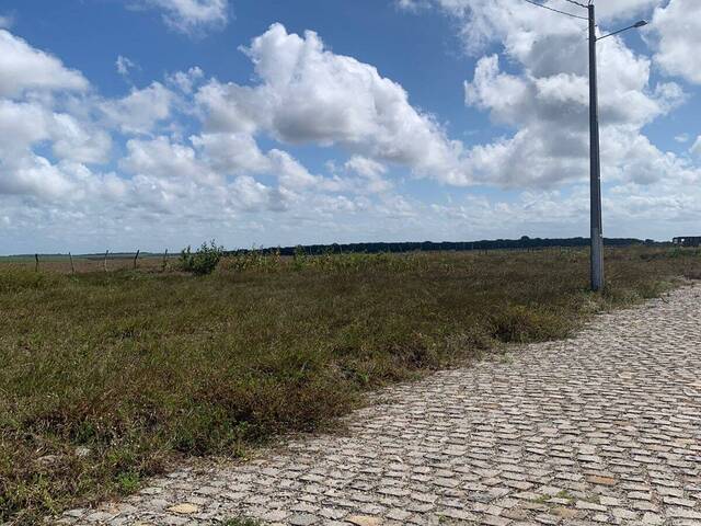 #T-527 - Terreno para Venda em Tibau do Sul - RN