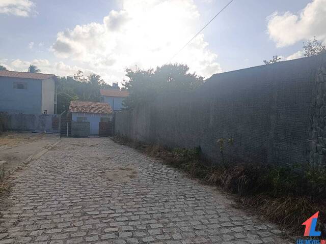  para  em  - 4