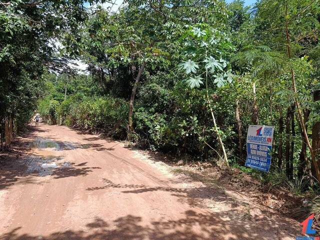 Venda em Praia da Pipa - Tibau do Sul