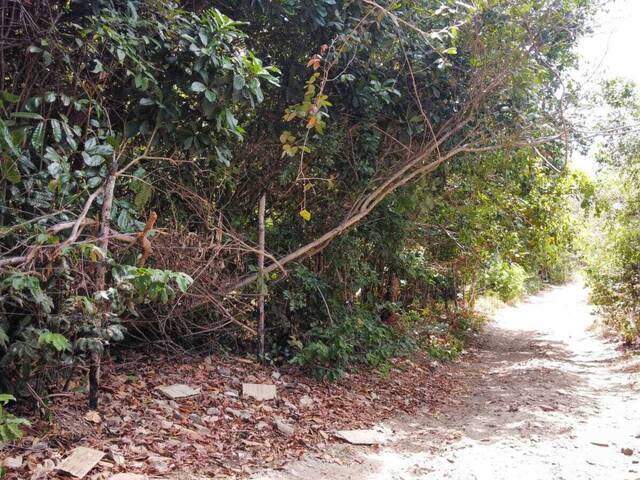 Terreno para Venda em Tibau do Sul - 5