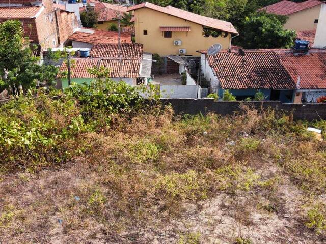 Terreno para Venda em Tibau do Sul - 5