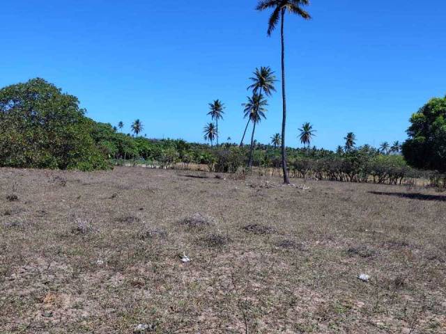 Venda em Barra do Cunhaú - Canguaretama