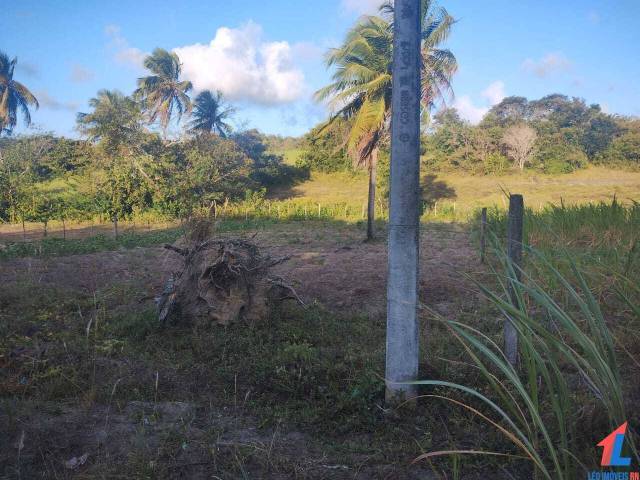 #T-510 - Terreno para Venda em Tibau do Sul - RN