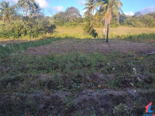Venda em UMARI - Tibau do Sul