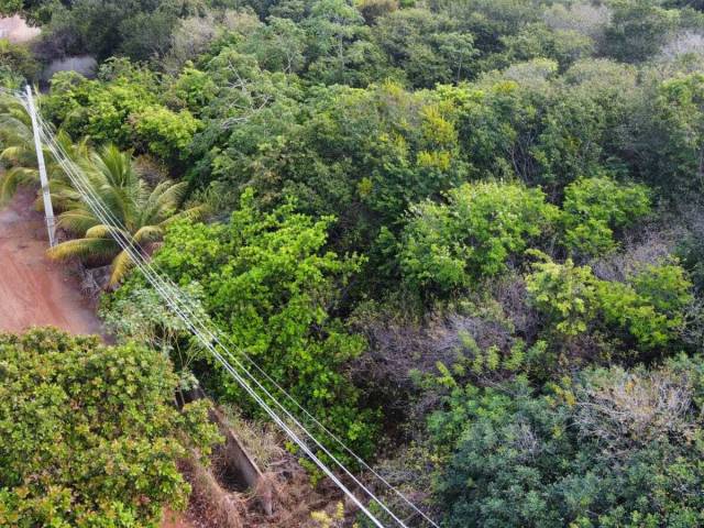 Terreno para Venda em Tibau do Sul - 5