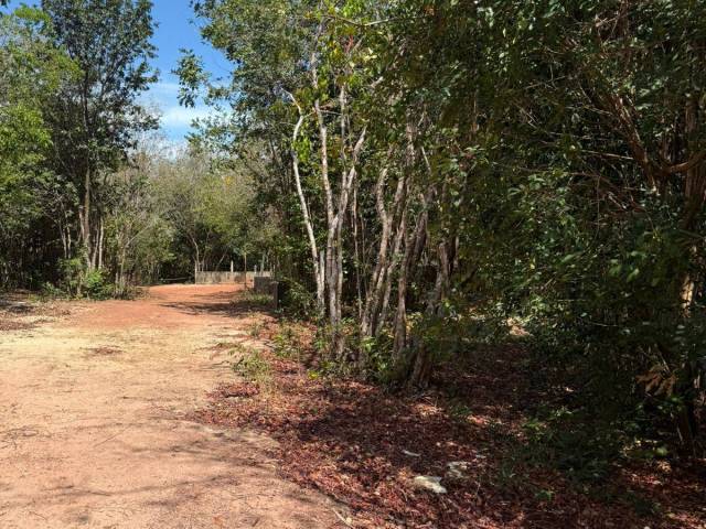 Terreno para Venda em Tibau do Sul - 4
