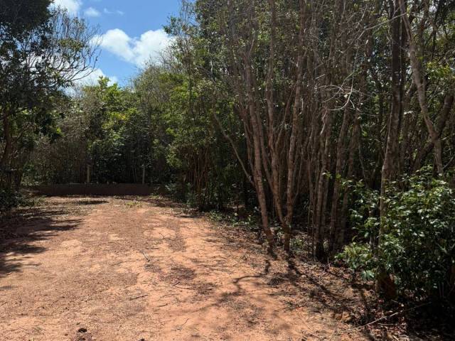 Terreno para Venda em Tibau do Sul - 5