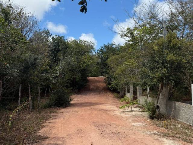 Venda em Praia da Pipa - Tibau do Sul