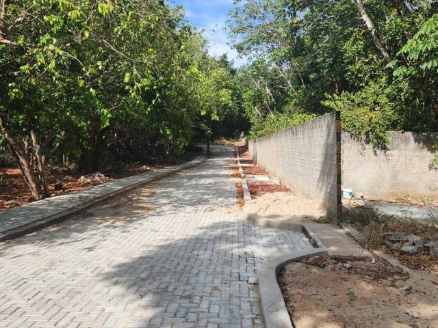 Terreno em condomínio para Venda em Tibau do Sul - 5