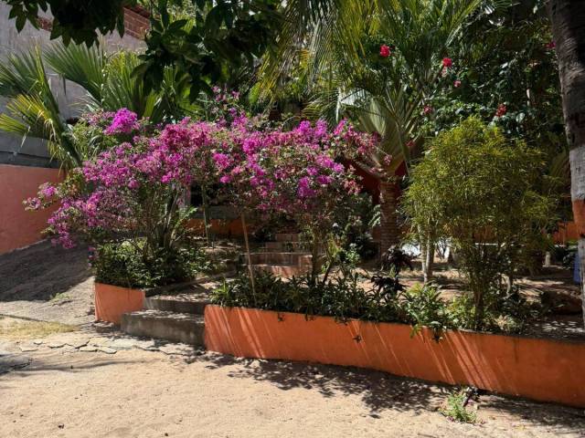Casa para Venda em Tibau do Sul - 5