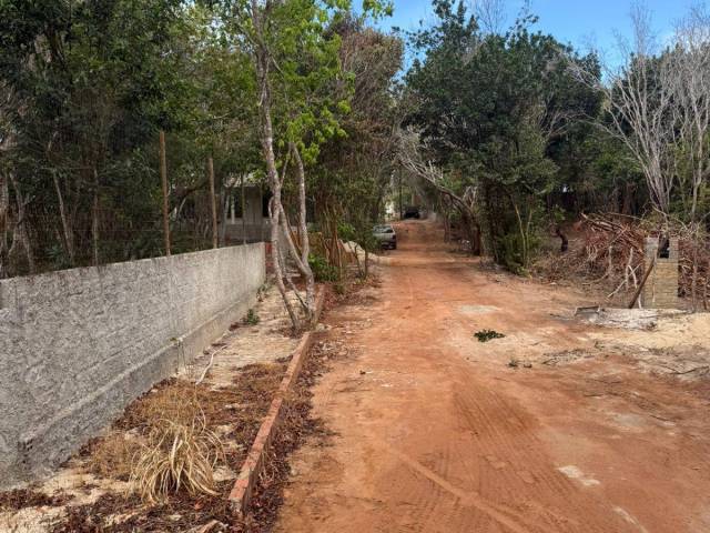 #T-557 - Terreno para Venda em Tibau do Sul - RN