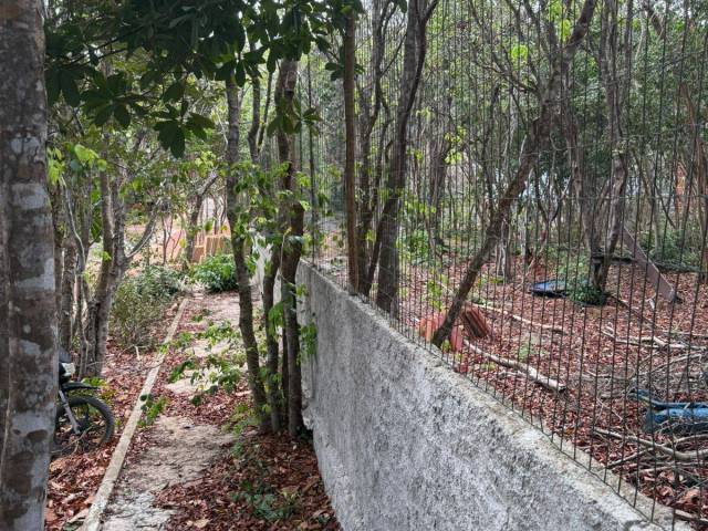 Terreno para Venda em Tibau do Sul - 5