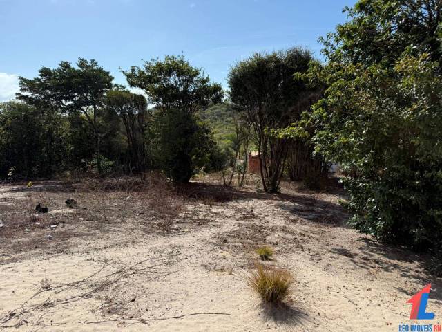 #T-569 - Terreno para Venda em Tibau do Sul - RN