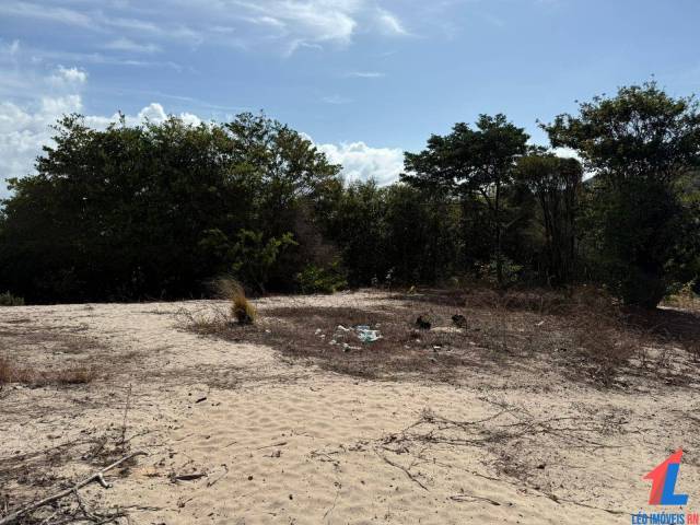 Terreno para Venda em Tibau do Sul - 4