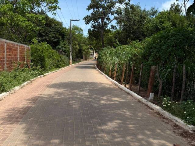 Terreno para Venda em Tibau do Sul - 5