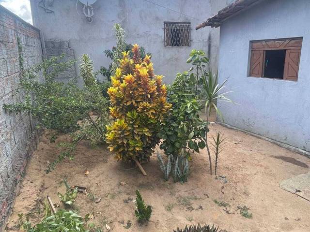 #C-486 - Casa para Venda em Goianinha - RN