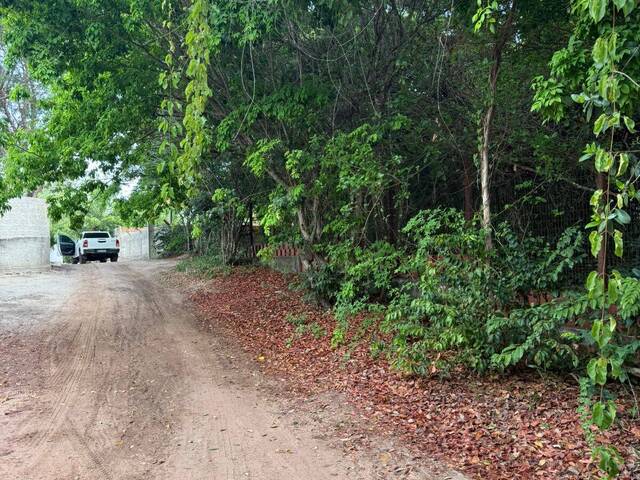 Terreno para Venda em Tibau do Sul - 4