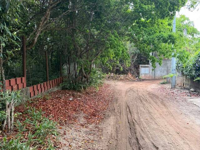 Terreno para Venda em Tibau do Sul - 5