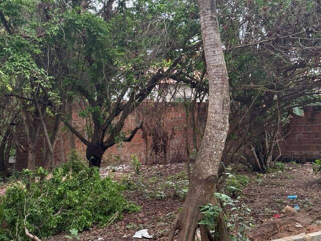Terreno para Venda em Tibau do Sul - 5