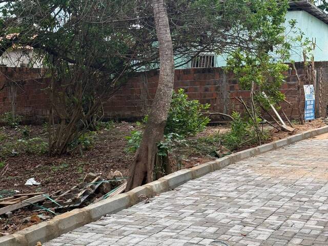 Terreno para Venda em Tibau do Sul - 4