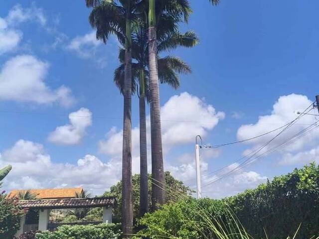Casa para Venda em Tibau do Sul - 4