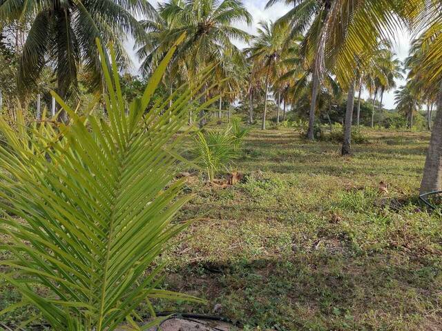 #T-572 - Terreno para Venda em Canguaretama - RN
