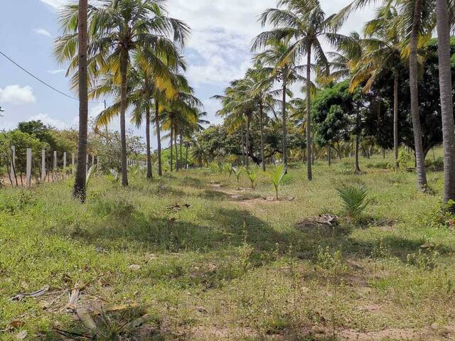 Terreno para Venda em Canguaretama - 4