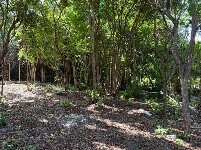 #T-396 - Terreno para Venda em Tibau do Sul - RN