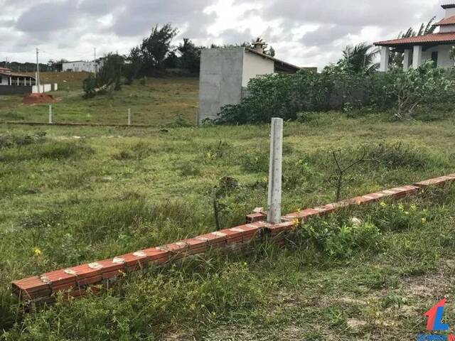 Terreno para Venda em Nísia Floresta - 4
