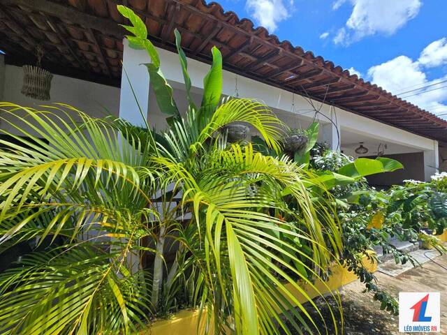 Casa para Venda em Tibau do Sul - 4