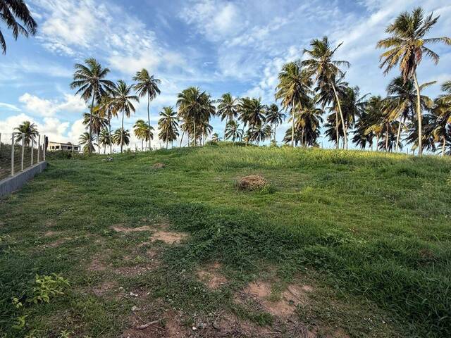 Terreno para Venda em Canguaretama - 4