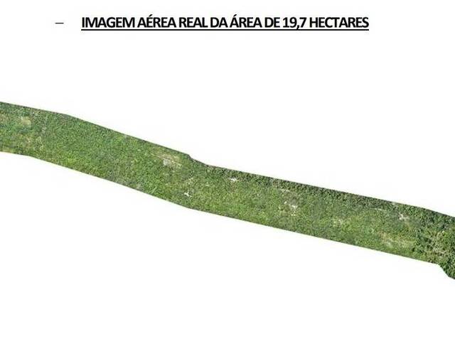 Terreno para Venda em Tibau do Sul - 5