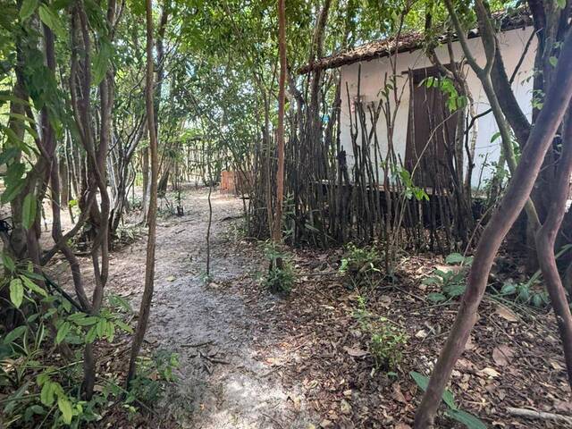 Casa em condomínio para Venda em Tibau do Sul - 4