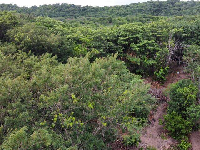 #T-585 - Terreno para Venda em Tibau do Sul - RN