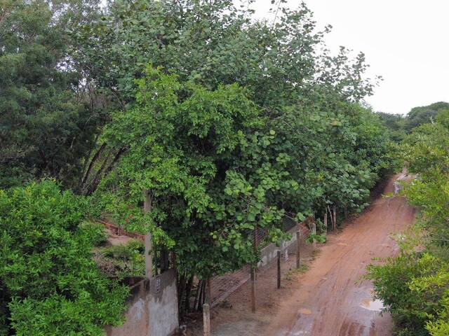 #T-585 - Terreno para Venda em Tibau do Sul - RN