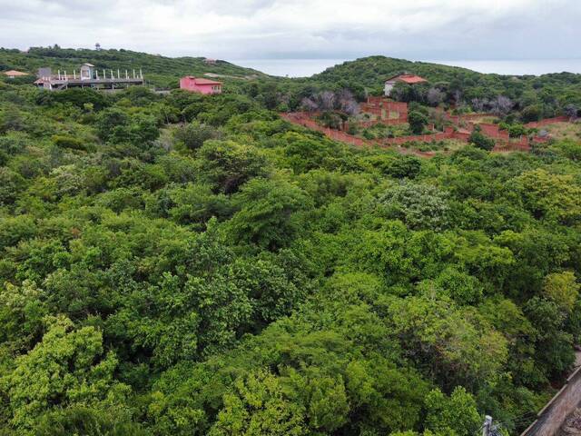 Terreno para Venda em Tibau do Sul - 5