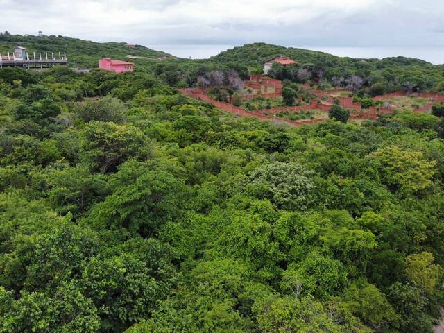 Terreno para Venda em Tibau do Sul - 4