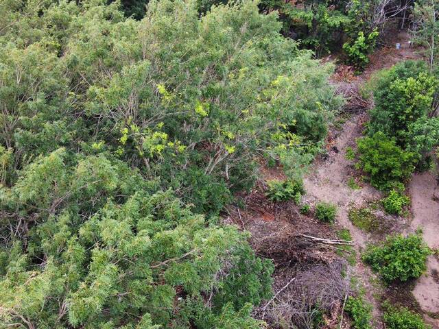 #T-583 - Terreno para Venda em Tibau do Sul - RN