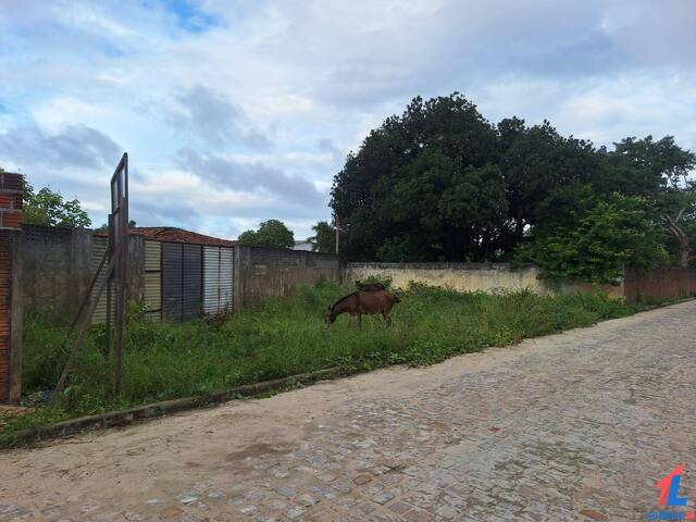#T-592 - Terreno para Venda em Canguaretama - RN