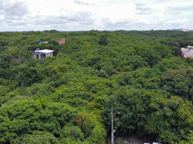 Terreno para Venda em Tibau do Sul - 5