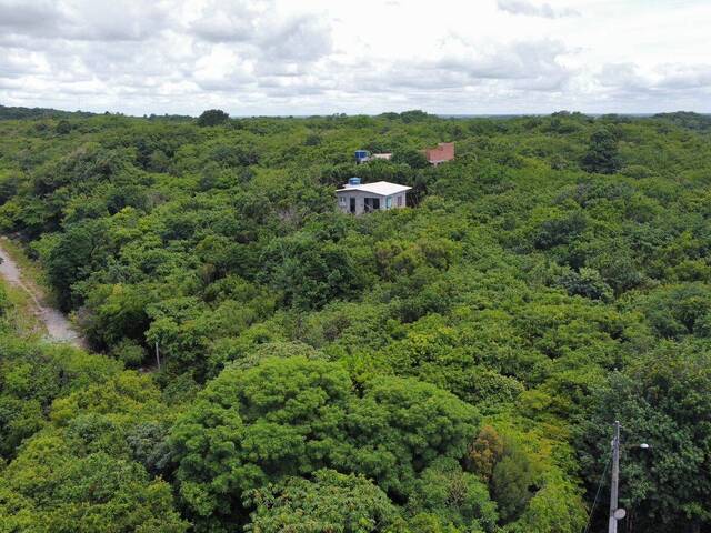 Terreno para Venda em Tibau do Sul - 4